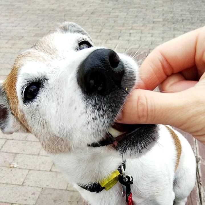 5618547d 8a48 49ae a5b9 ded7d95665f6 1597270583063