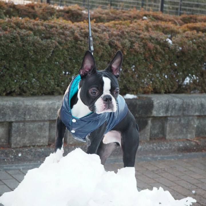 56185633 f772 44ef 86c1 1630b56ffbd5 1517041458288