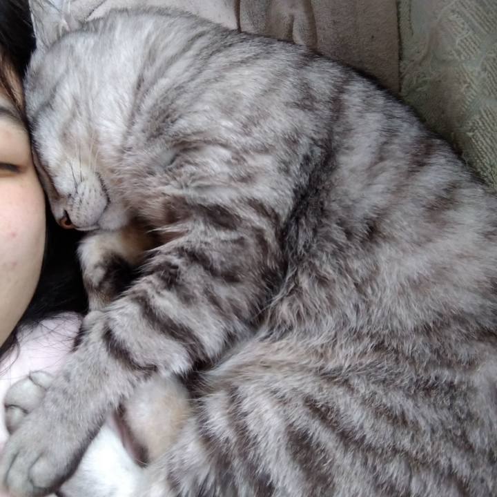 5618926f a86f 4a93 bb3a 1490ad8c55c6 1591248716958