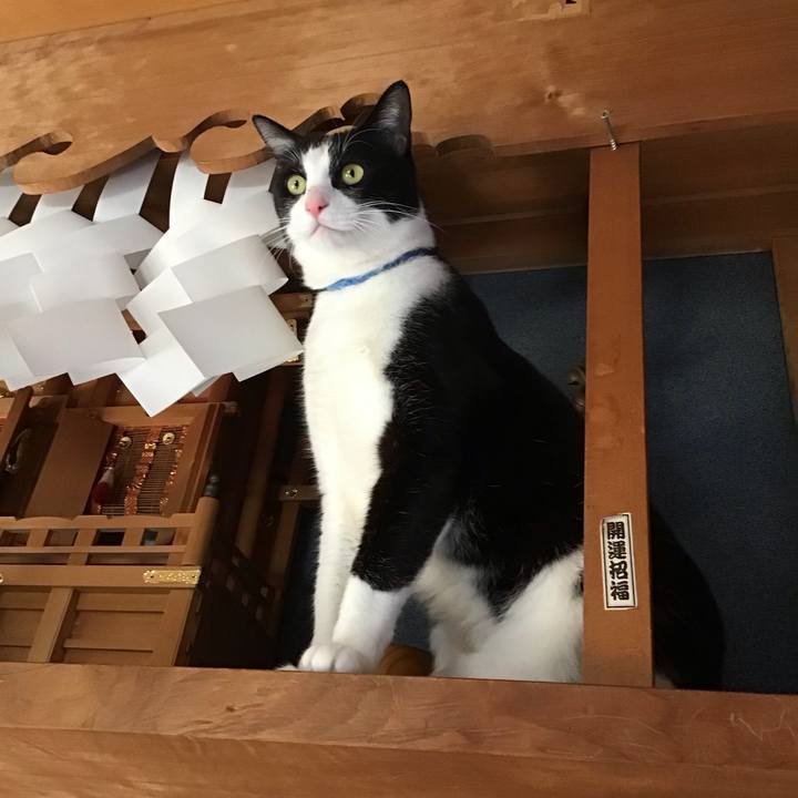 56193fe7 cc6e 4145 8cc1 fbc05e2b735b 1710156107907