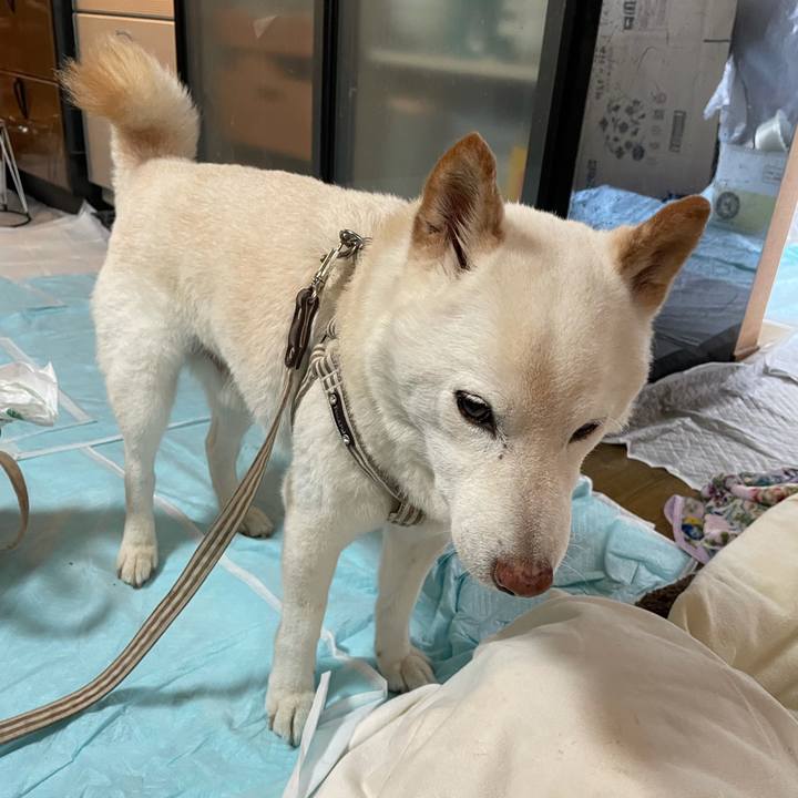 56195206 195d 4d22 a59a 68360147dd21 1634963228356