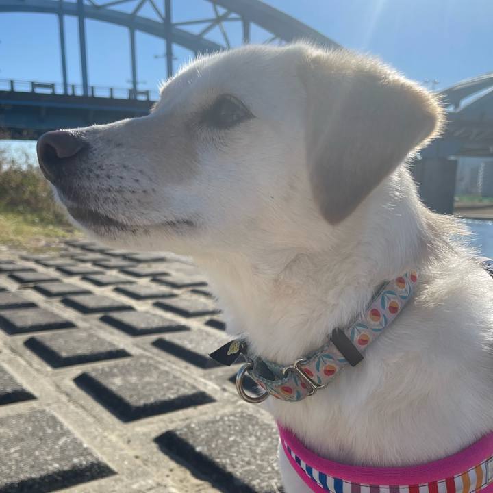 56196ea2 448a 4fd6 9685 94da4533b287 1672584666123