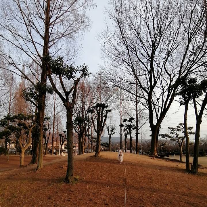 56198021 14cd 4efd be5a 5b6eada0239d 1613129195706