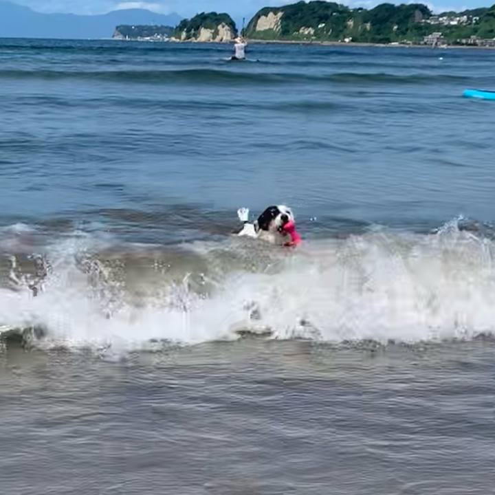 56198912 e478 49b1 af2d 14e3de585353 1752891099800