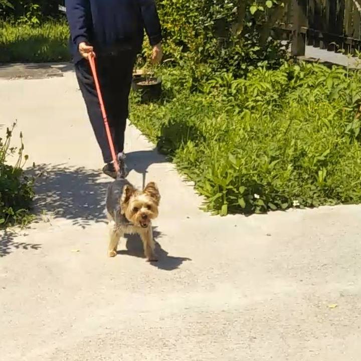 56199a62 fdc2 42d1 8692 577f222fcab7 1632736542317