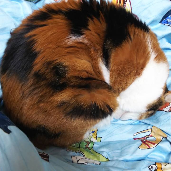 5619ae6c 6a64 468f 961f 955a73e20b9c 1583467547678