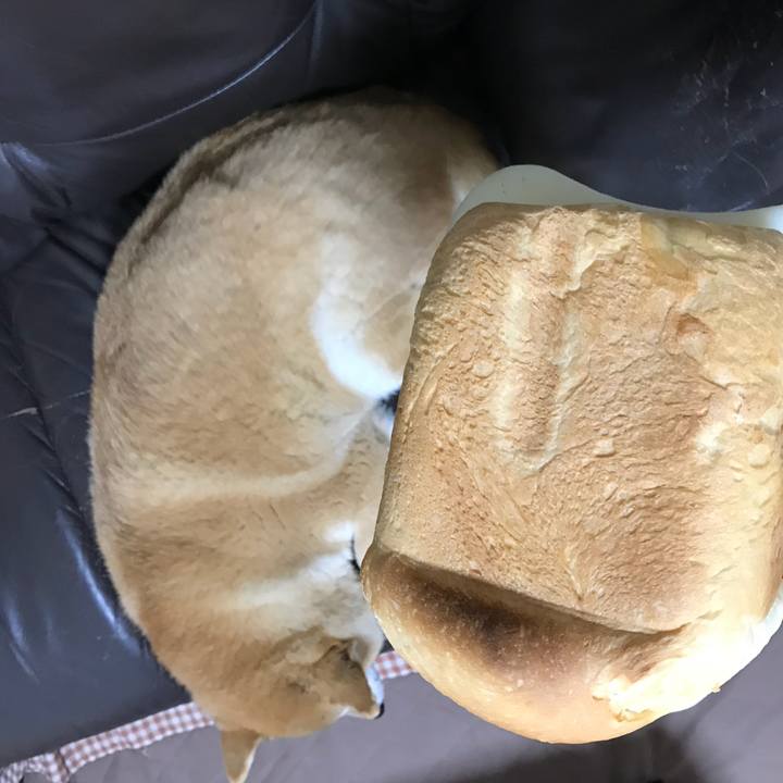 5619cd53 e55f 4fa2 a750 290ea1baa703 1525731994912