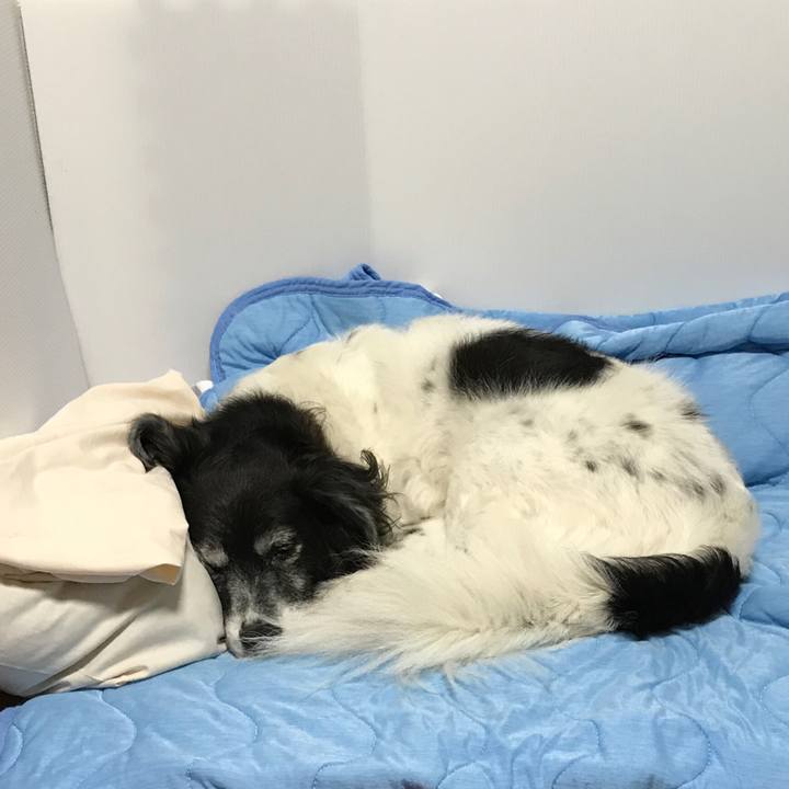 5619d49d ef86 49e6 b175 c922f1e85d8c 1535262814993