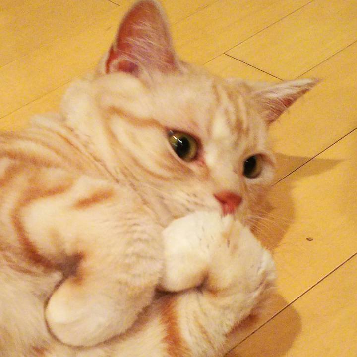 5619e640 1b5b 4ea0 b191 bde2318b5bad 1522581541371