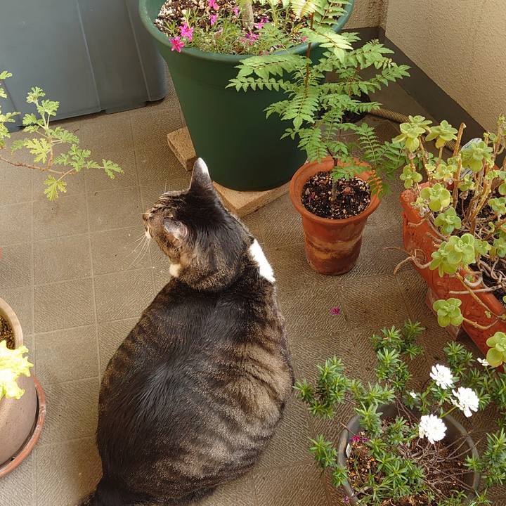 561a0383 19fa 4ab1 b8b2 b9416436c3f2 1650495679211