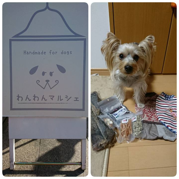 561a03a6 79b6 4a34 8c8e 7d2c72cd655d 1543745636640