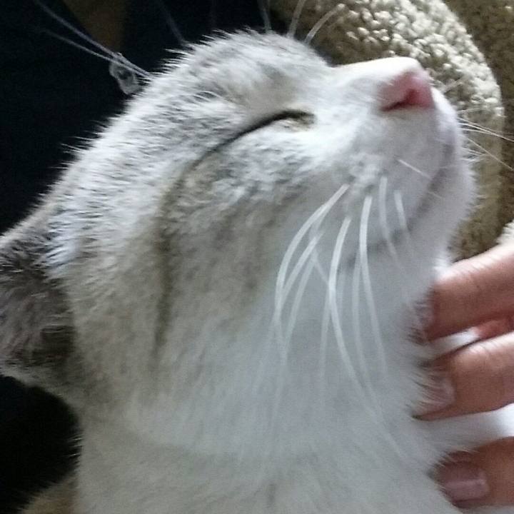 561a0a78 490d 42d4 a377 c3c982619d7d 1518446296107