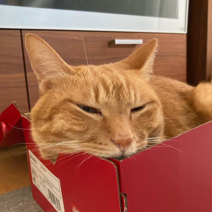 561a84c6 dca1 47a9 a021 abef3c86070c 1764375454575