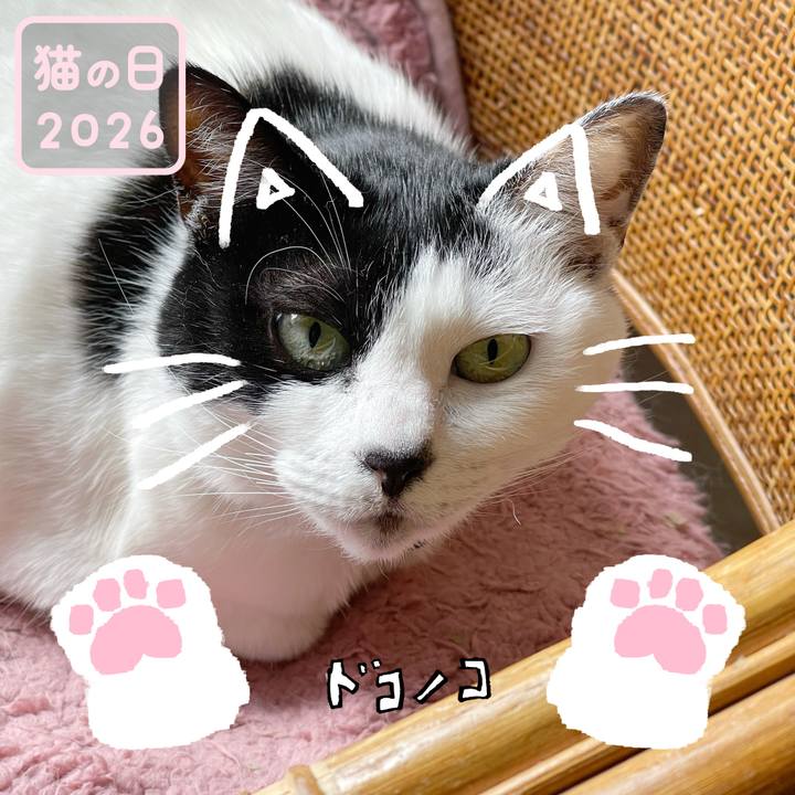 561ab716 7673 4c7f a996 ab1513c9a2d5 1771732009076