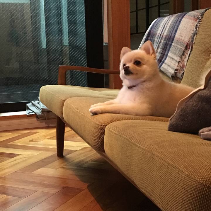 561ad8f2 0241 42fb 942f d12499f87b78 1536044505125