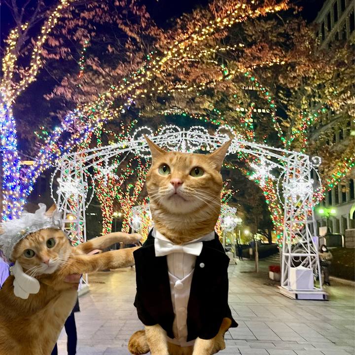 561ae6b0 06a5 4b50 923a 00184049d71d 1638171521314