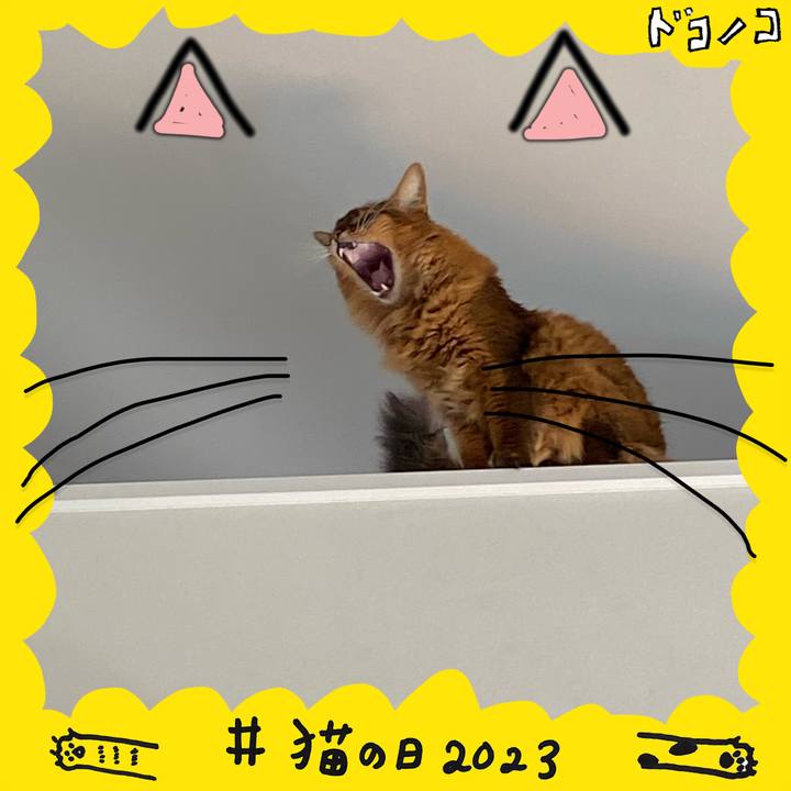 561b117c a8a2 4b30 bd34 608e5f030609 1677041654076