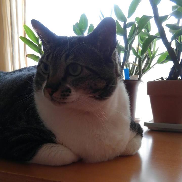 561b1c69 d72f 450d 816d f20d9dd07b3c 1519685033061