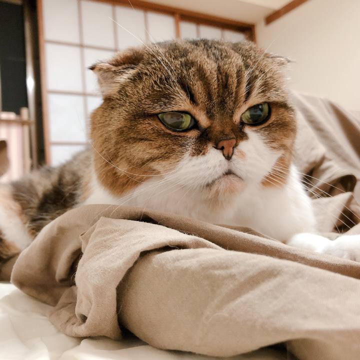 561b2363 af57 4297 aad8 fdd51462ffa0 1592918757658