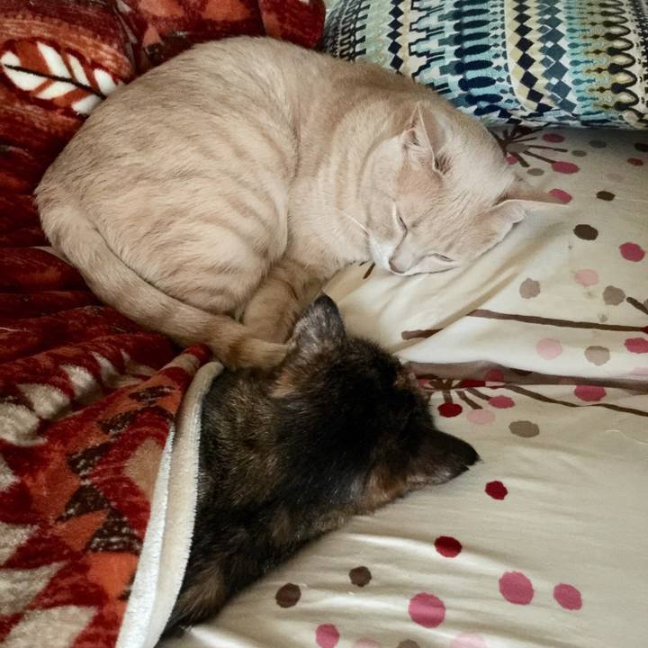 561b3acc 3e44 4a26 a004 ba1491834328 1549429401733