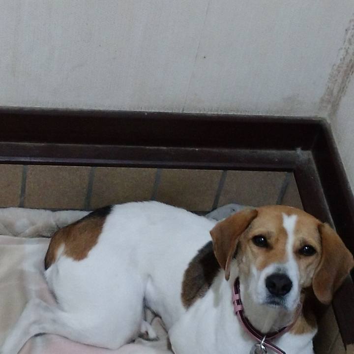 561b4e25 de9d 4f92 acce c15d189e0783 1576841282651