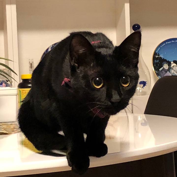 561b5b04 7c62 437b 9987 4b052a3a62b8 1686207462428