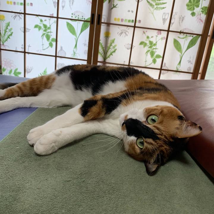 561b63b8 954f 4e59 bf6f 4f1bd0b25820 1559219436232