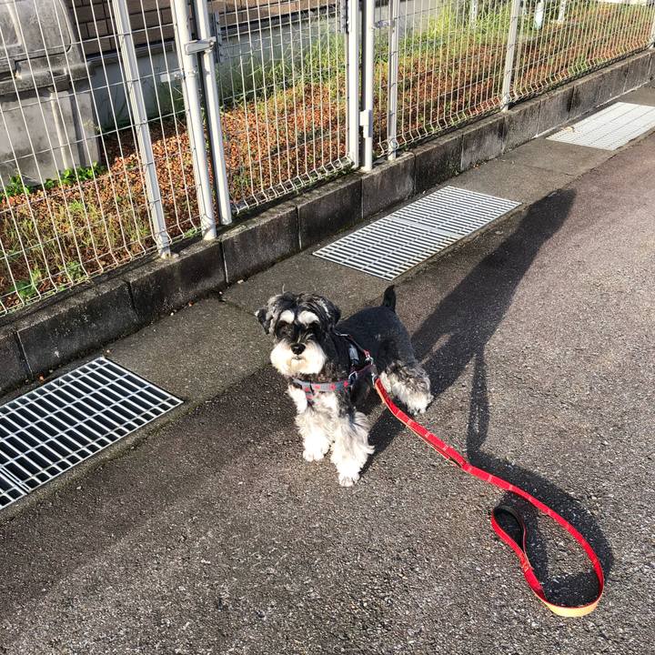 561bb009 e97d 4abc bc65 f6f9698fd73e 1664450752087