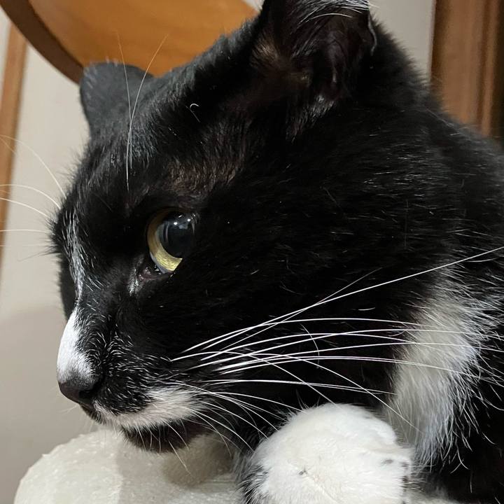 561bd1e5 fc6f 42fd 9517 aa7c624b1cb8 1687578285772