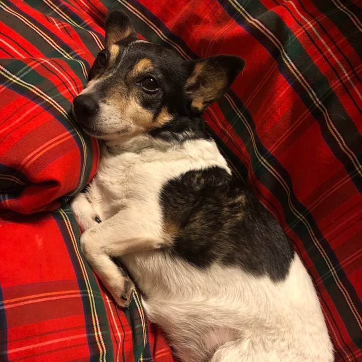 561c17d8 be22 494e a399 5a6c65580266 1577367371441