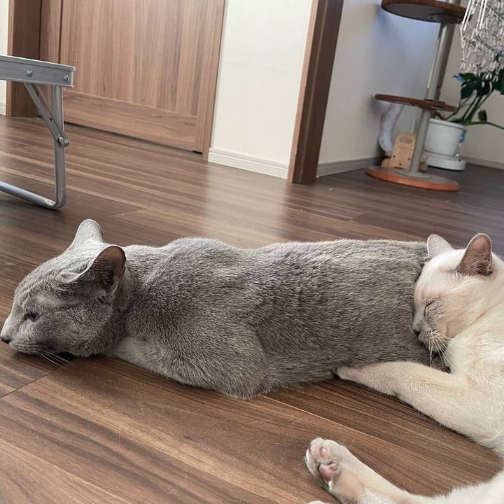 561c4185 351f 46f2 b032 85c8ef994b67 1753484032302