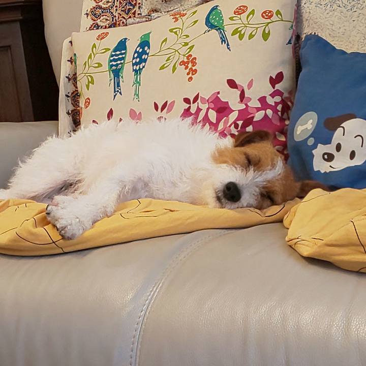 561c9338 9f4b 4d11 9a51 21ca9b2ca6ac 1558400487846