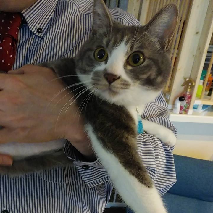 561cbeab ca41 41b3 98fa 5460f4946fce 1585435968169