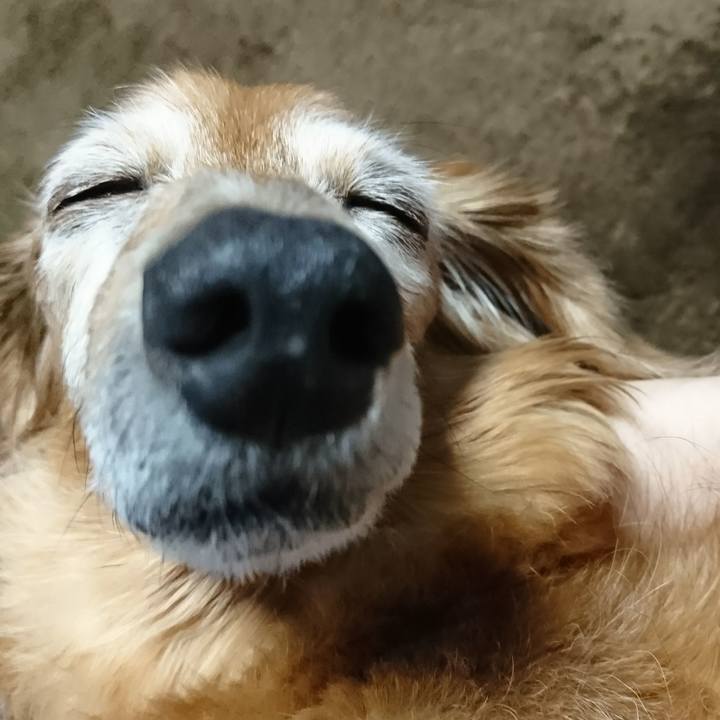 561ce021 cabb 462e 87b0 7b7813c65fd3 1510594895202