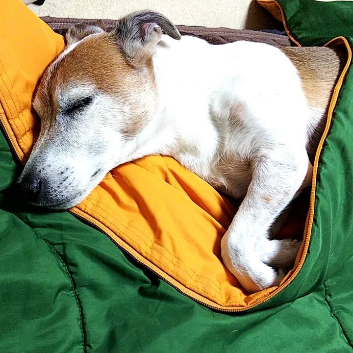 561d0da6 79c4 4f84 9c57 2d86a6584358 1541688967159