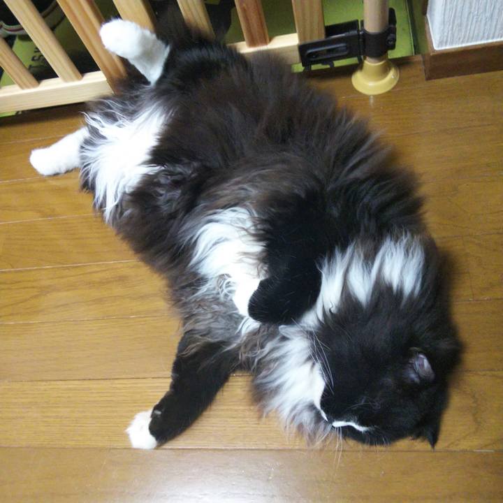 561d51c4 c7d4 402a bf9a 8ed76c61eaab 1659263345594