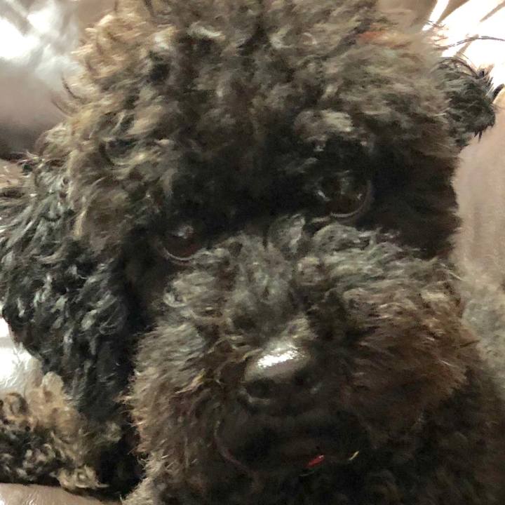 561d63ef d93c 4952 9aac b9928a2adfc7 1561887328348