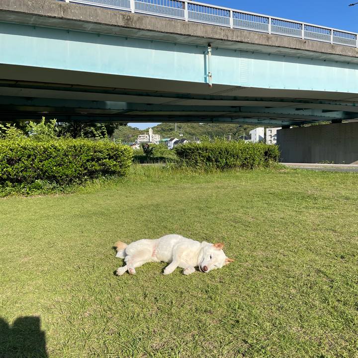 561d6cba 5181 4c3d 8ef8 80b87c8eb2c1 1653665234400