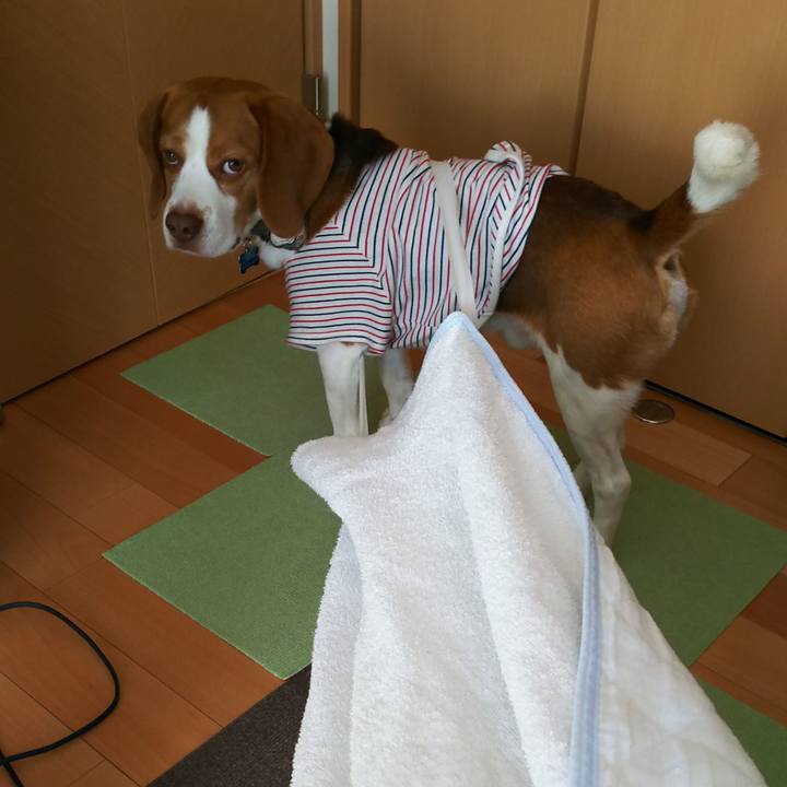 561d6e1d 8831 479e ac81 279ccd0d4d21 1586145522449