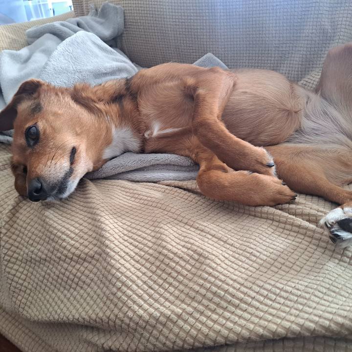 561d7c32 7eab 416b 928a d8c156e811af 1771245581681