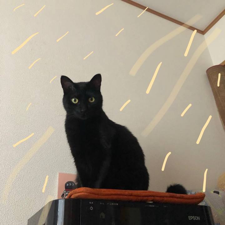 561d8a08 9eab 4515 8181 8d5fcd9f1cdb 1560068663903