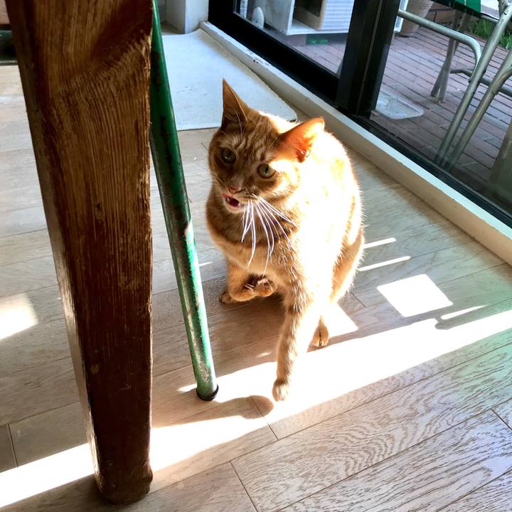 561da1ef 8754 42fb bdb9 53f13ac3250f 1515221020628