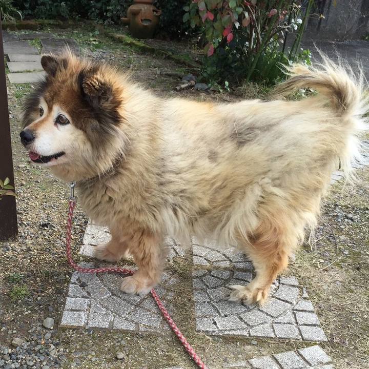 561da74f 0623 4a4c 92f0 13bb5fd5538b 1568256896182