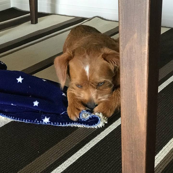 561daceb a163 441e 9f42 6c85cad622b9 1530561756506