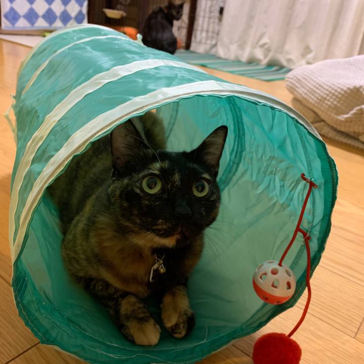 561e15bb 9a81 484b a9a1 f09ded5b641c 1574603843560