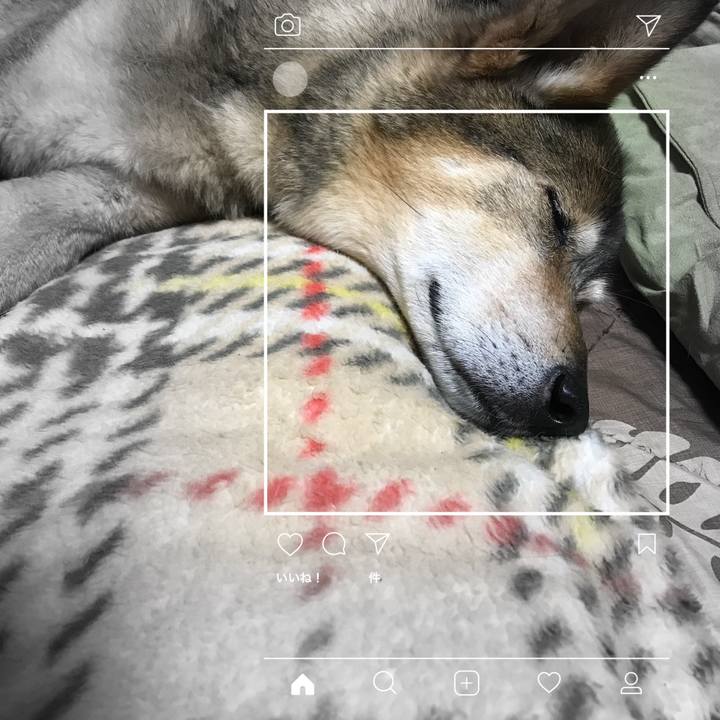 561e26d5 6114 46a3 99e5 d664855dc18d 1530149747185