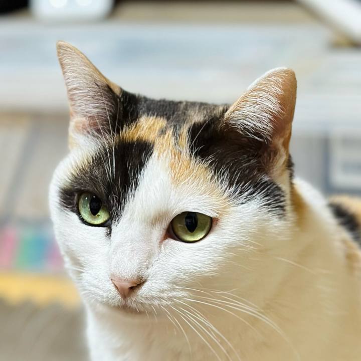 561e27ce 080e 4377 89a9 dcf2912937fa 1708392574624