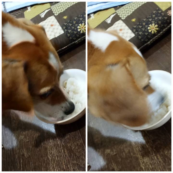 561e4d57 4d12 4fd7 b94e 13b1d4c183f1 1590147069387