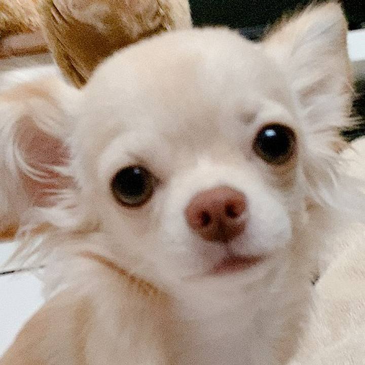 561e6f17 b4b1 4ce1 b6e6 d2e3e0229ddc 1601432993655