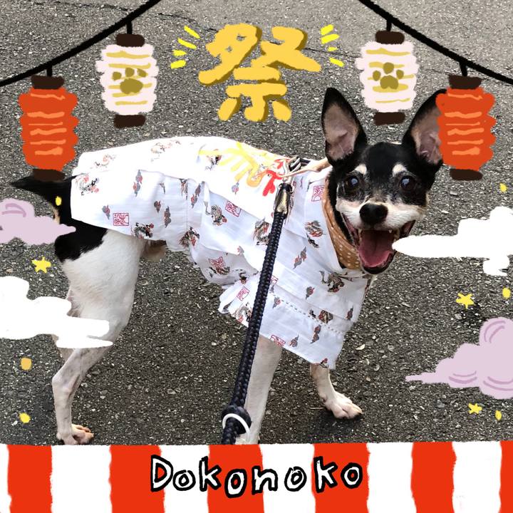 561ec590 c44c 402e bb09 f98fec4c26e6 1723421026517